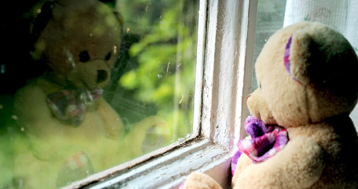 teddy-bear-reflects-in-window